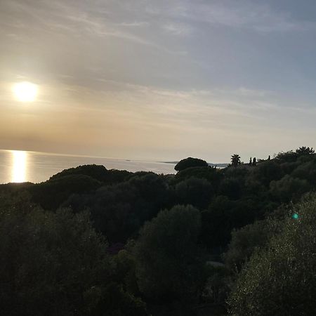 Chez Jean Claude La Villa Des Amis Olmeto  Zewnętrze zdjęcie