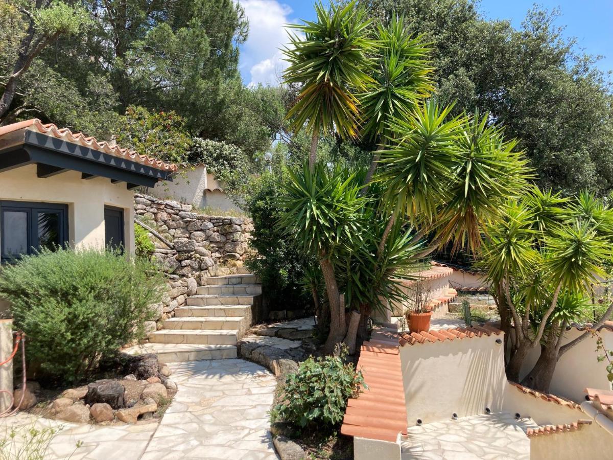 Chez Jean Claude La Villa Des Amis Olmeto  Zewnętrze zdjęcie